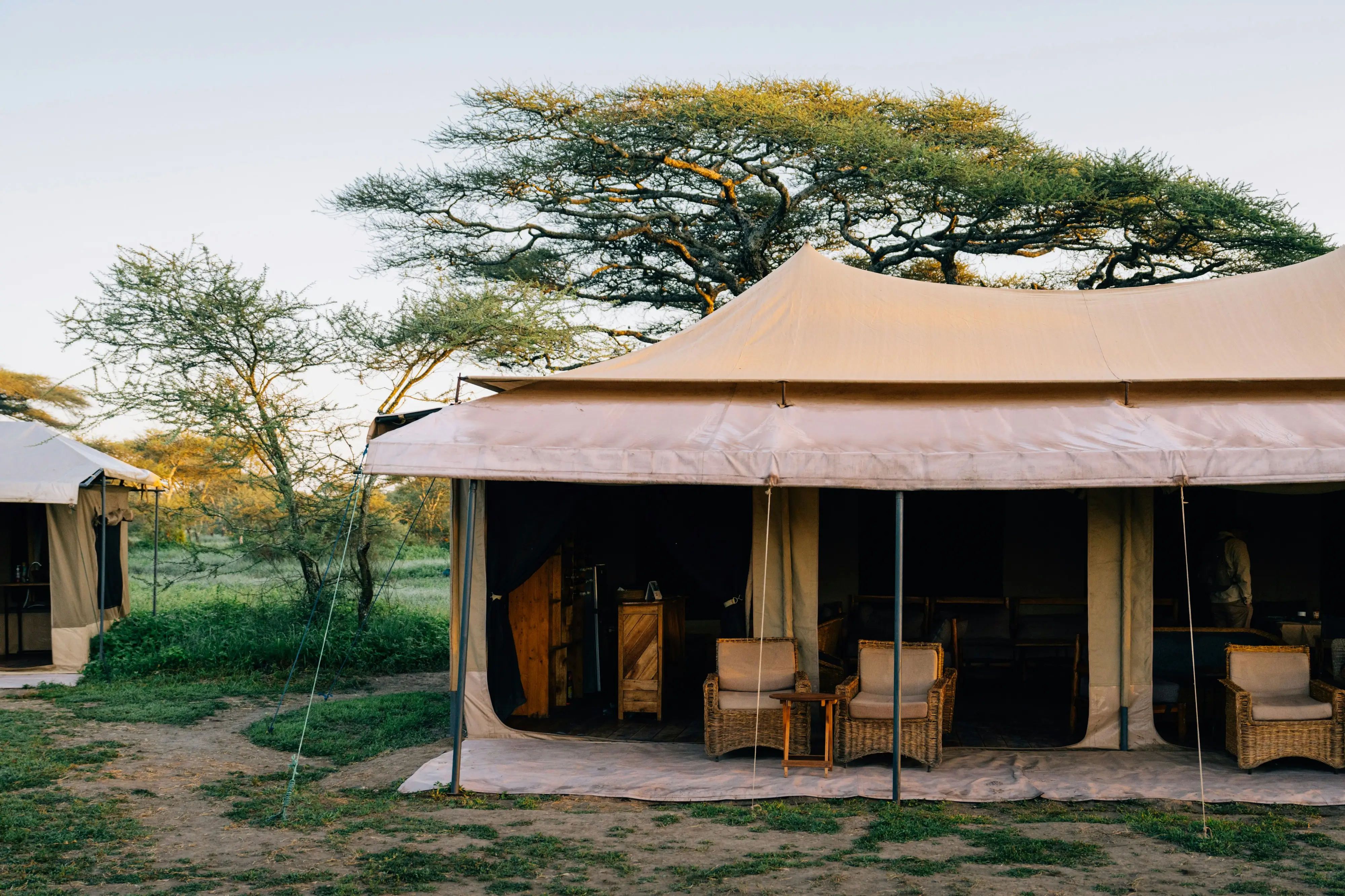 Budget Safari Camp