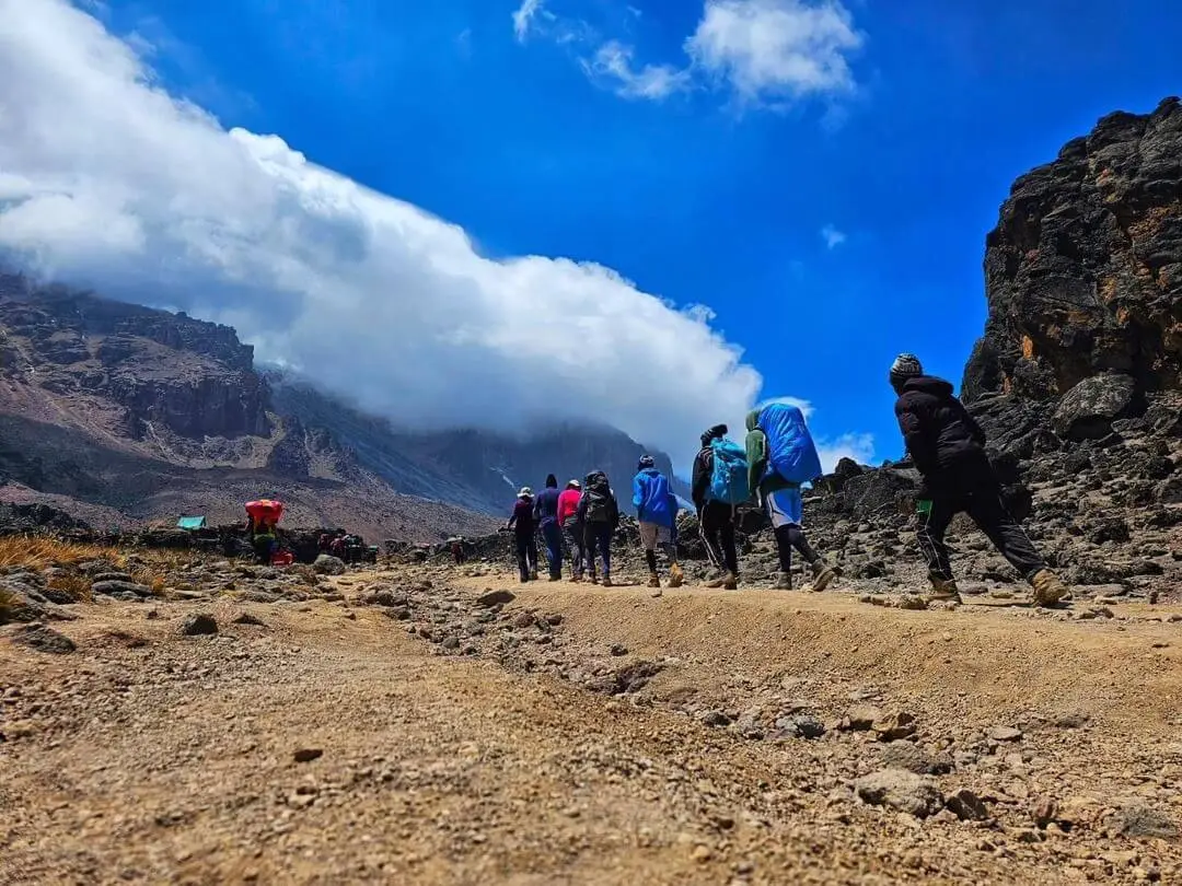 mount kilimanjaro behind