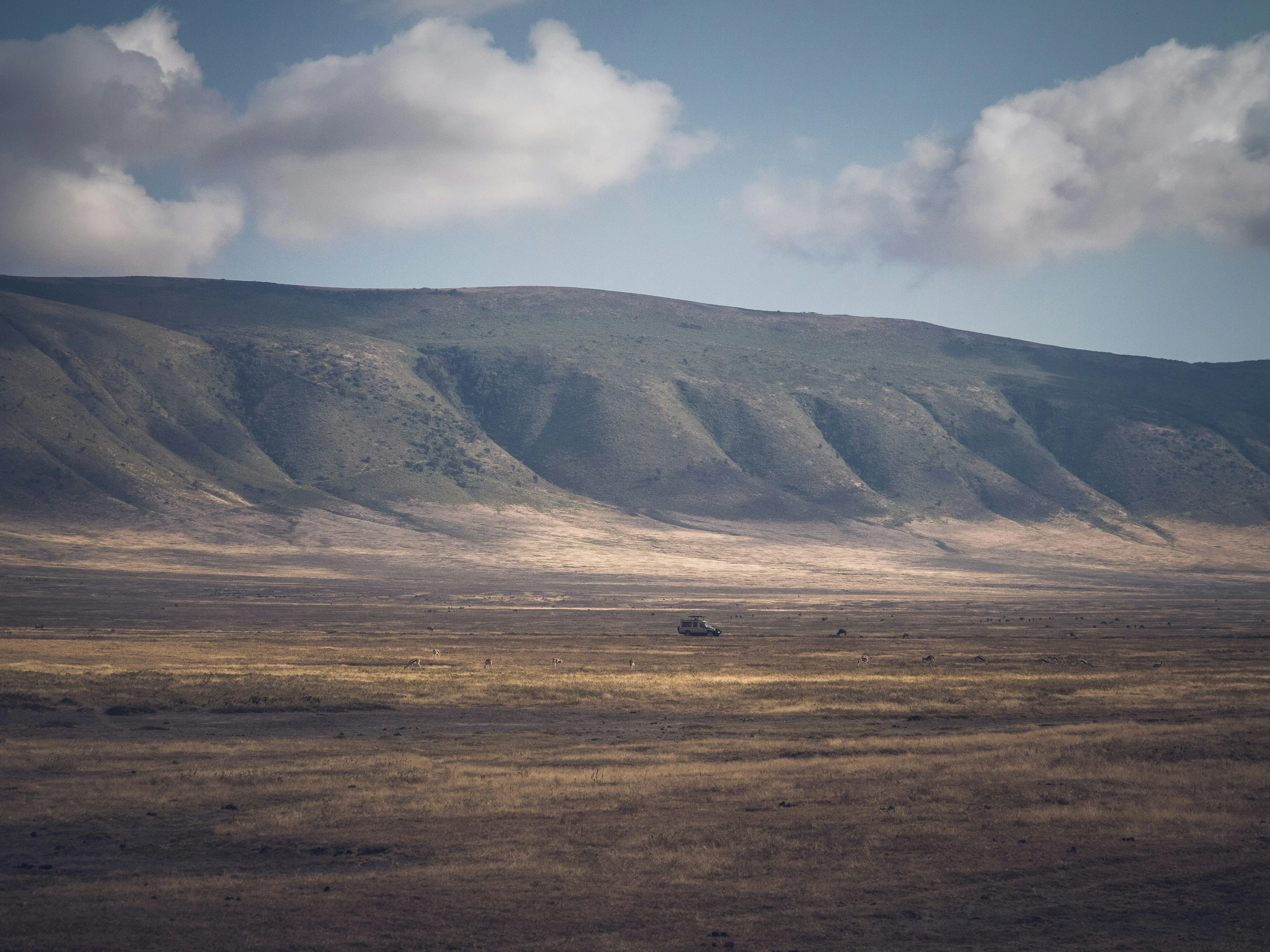 Ngorongoro