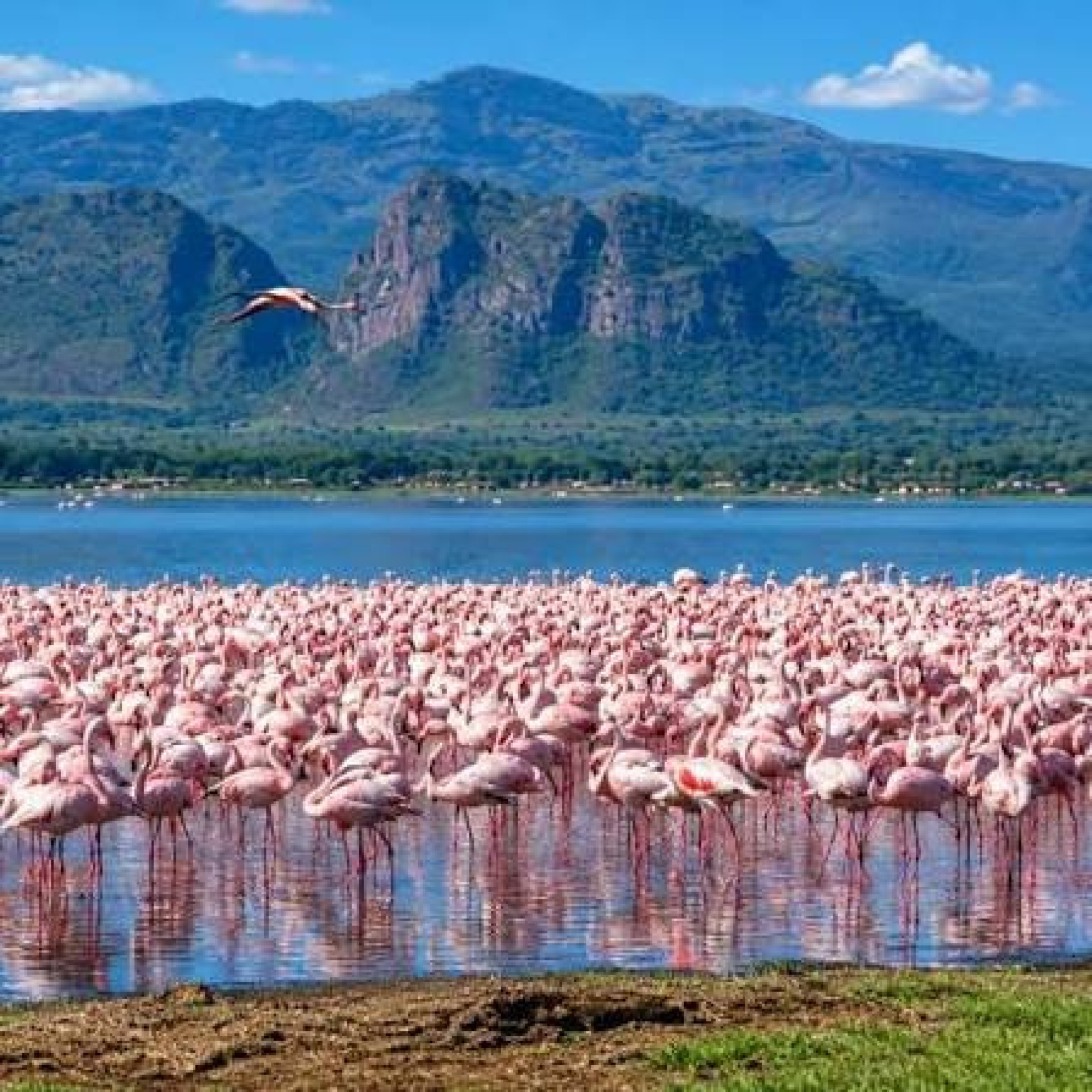 2 Days Lake Natron Safari — Foto 2