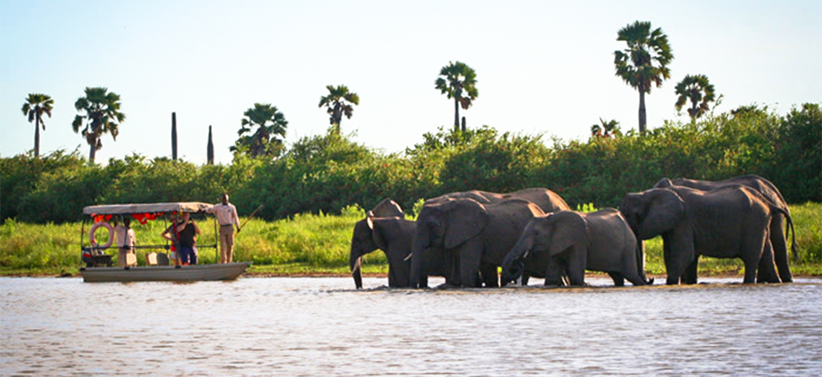 5-Day Nyerere & Ruaha Fly-In Safari
