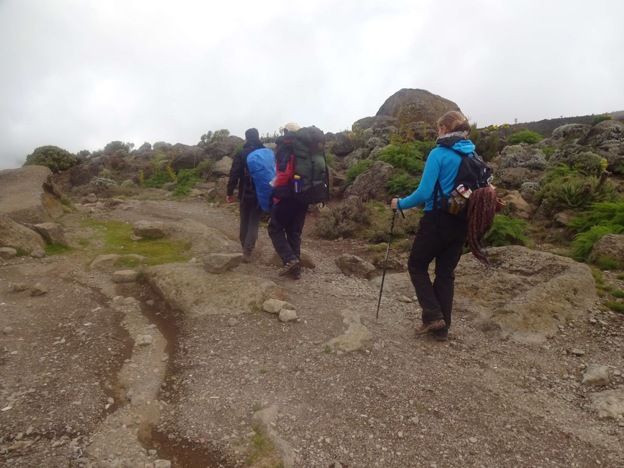 Rongai 6-Day Climb