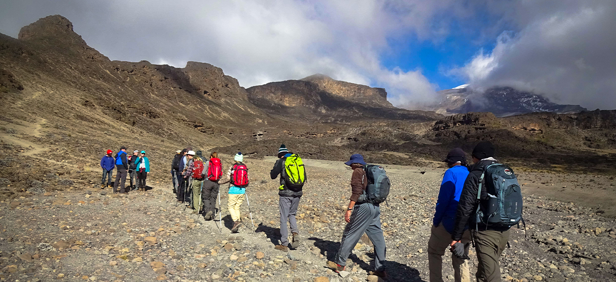 Lemosho 8-Day Climb