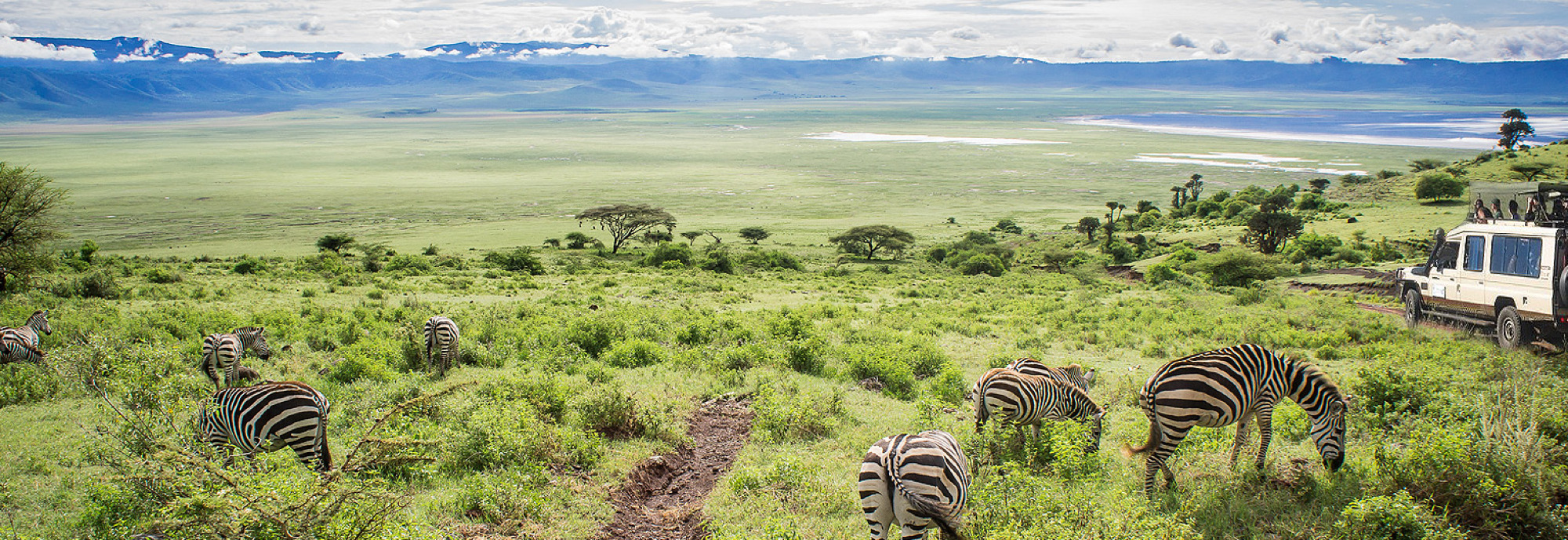 Ngorongoro Crater Day Trip Safari