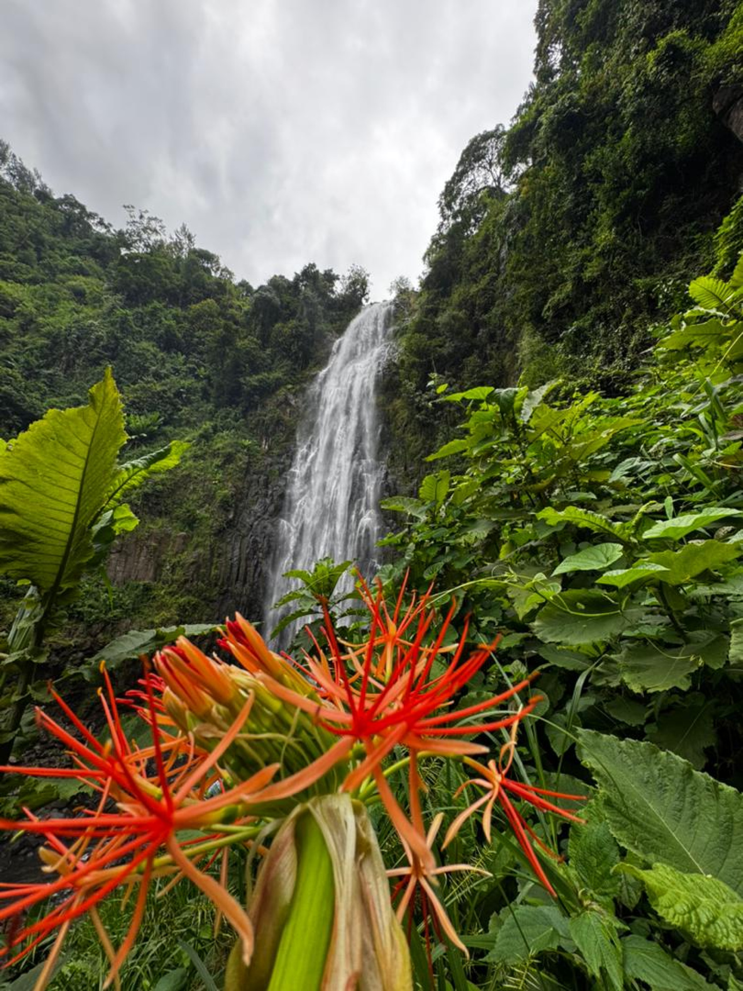 Materuni Waterfall Day Tour — photo 3