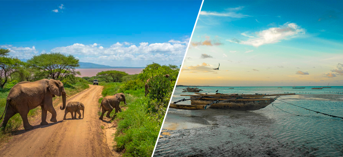 10-Day Tanzania Safari & Zanzibar Escape