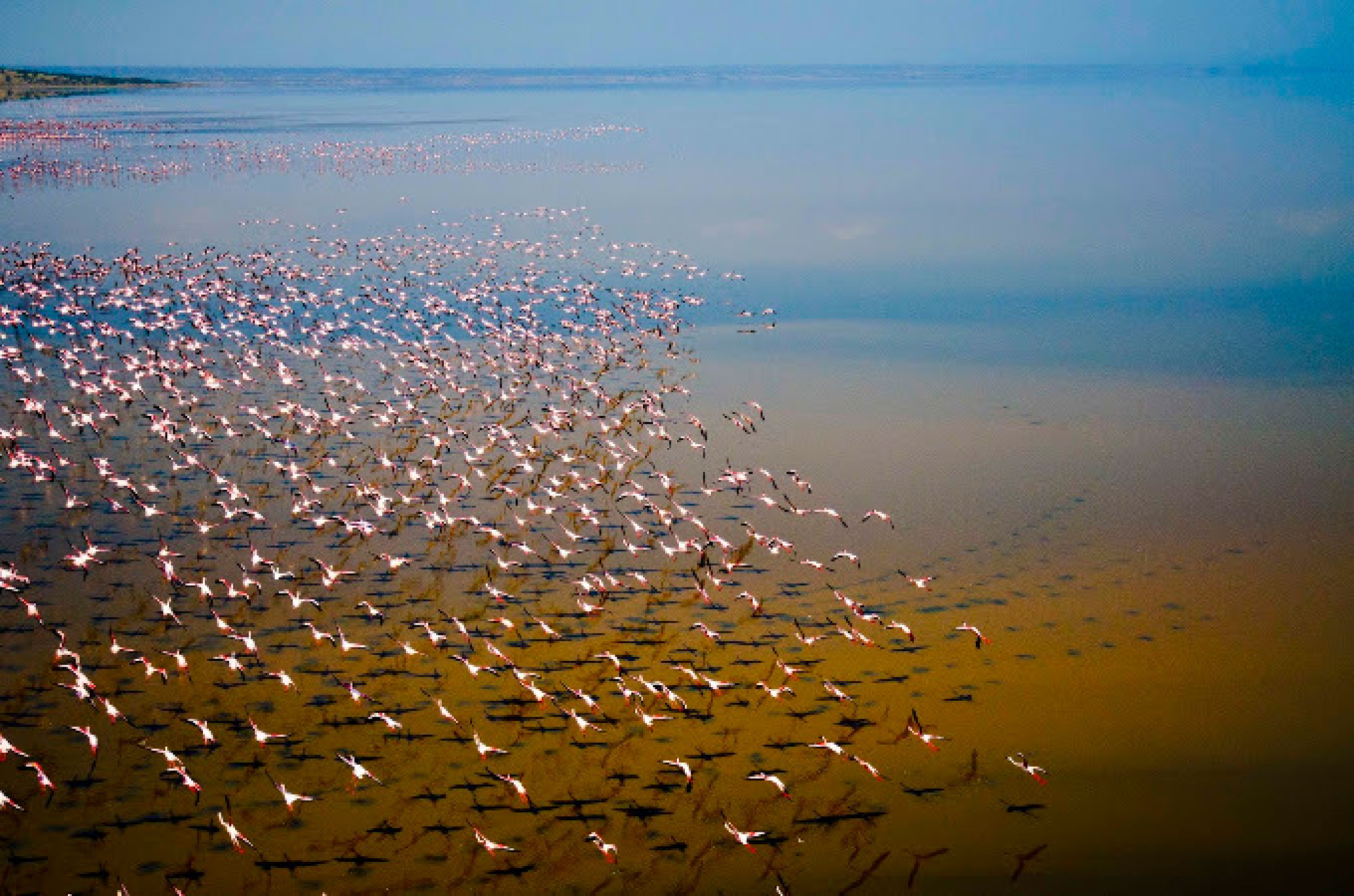 2 Days Lake Natron Safari — Foto 1