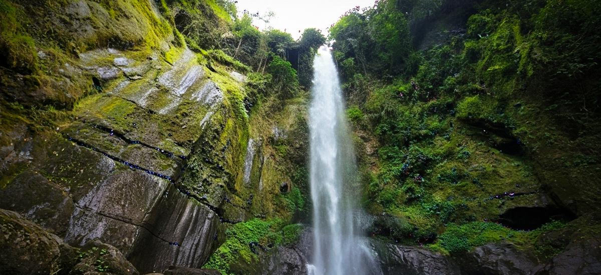 Napuru Waterfall Day Trip
